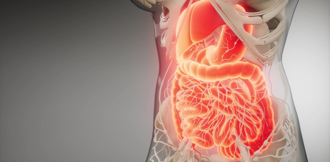 Digestion